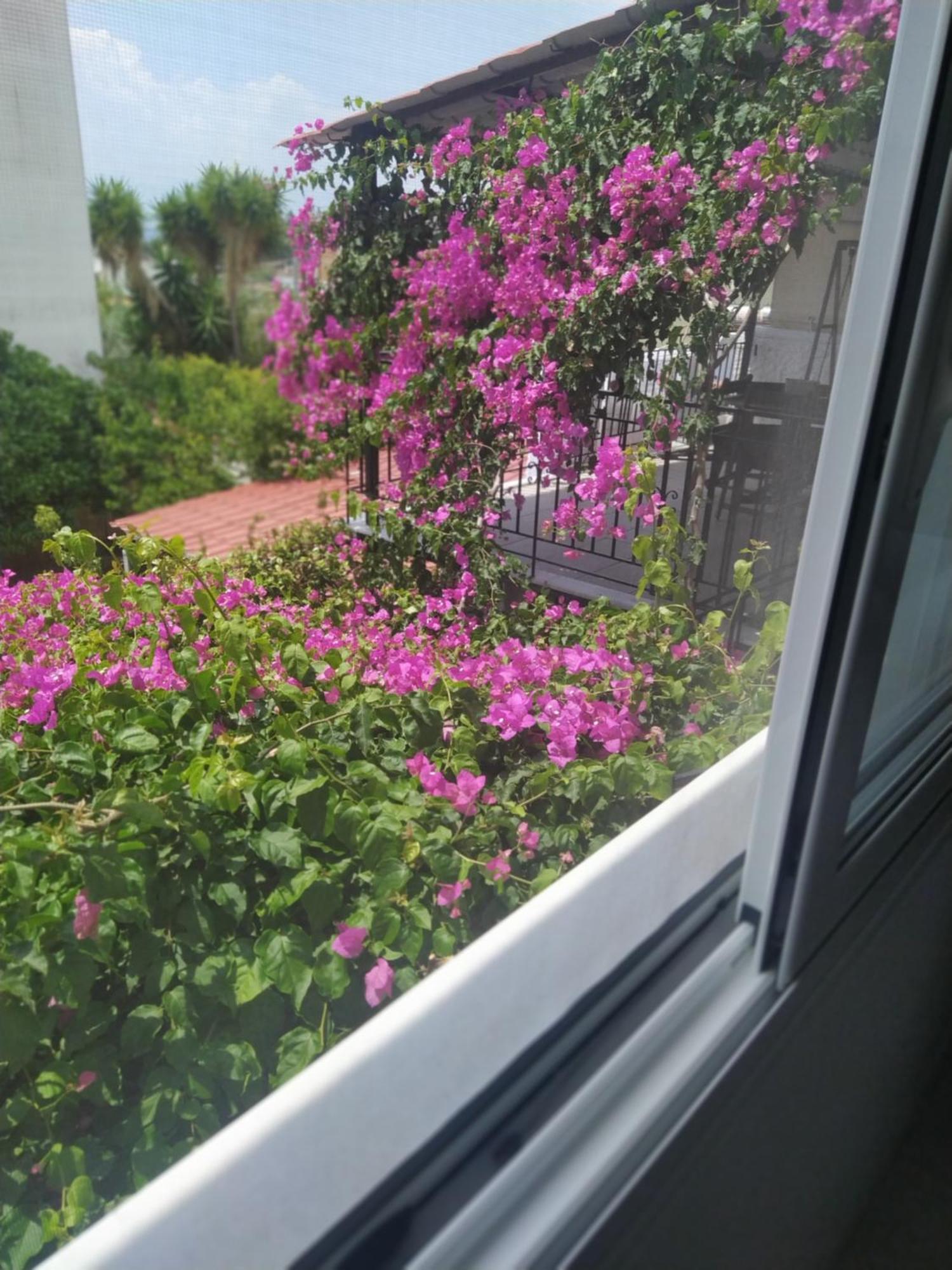 Kritharia Guesthouse Volos Exterior foto